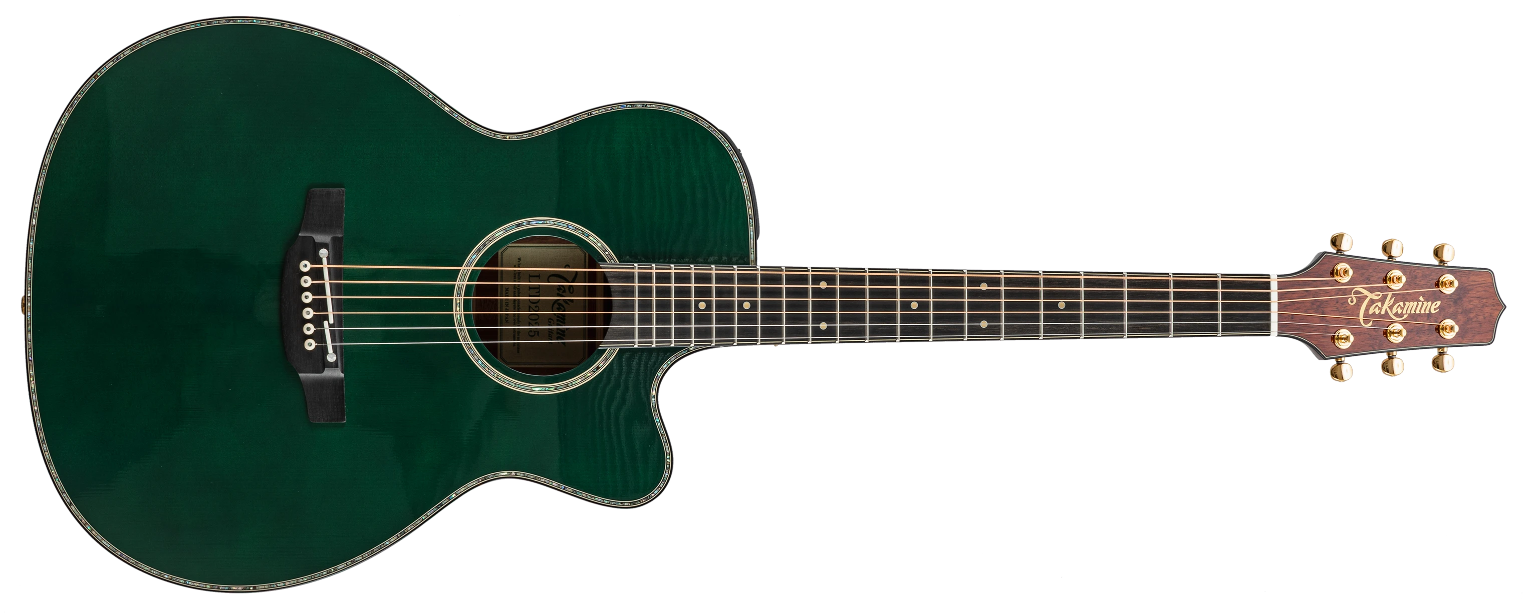 Takamine Limited 2025