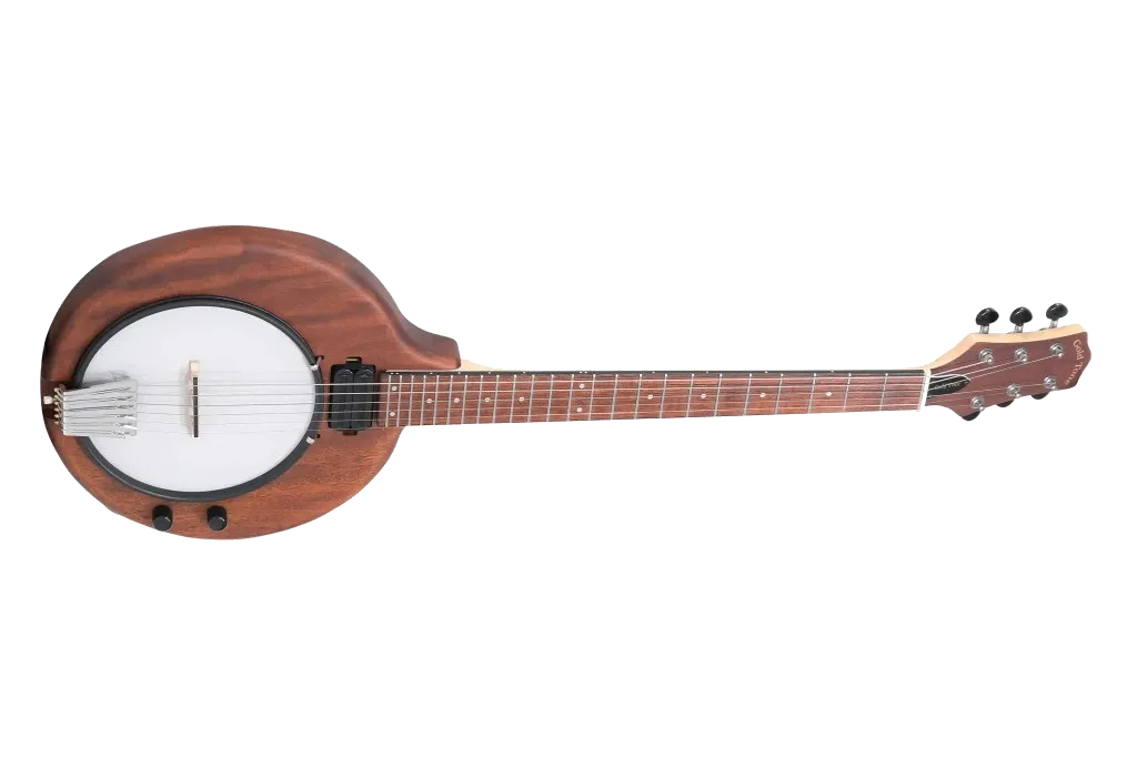 Gold Tone EB-6 Banjitar 6-String Banjo mit PU