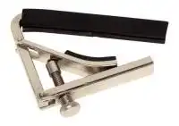 Kapodaster